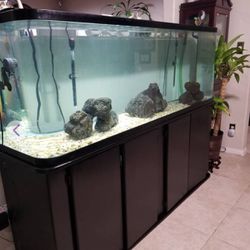125 Gallon Glass Aquarium With Cabinet Stand And Canopy