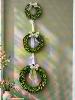 Set of 3 Boxwood Wreaths with Ribbons