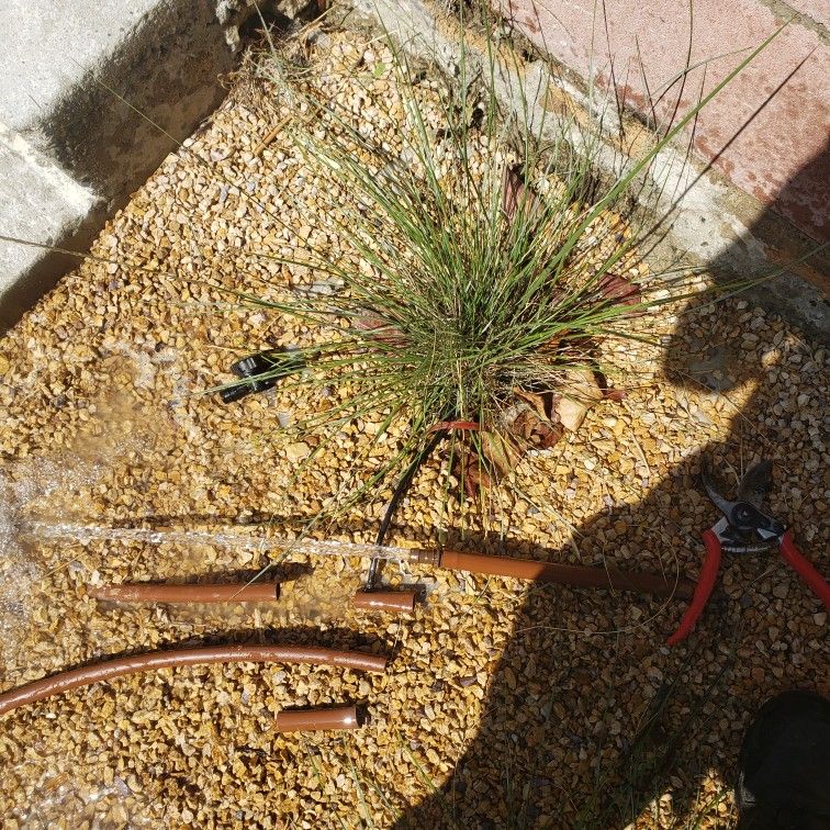 N Irrigation For Plants Or Grass