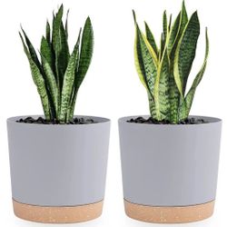 Plant Post Light Grey 8 Set of 2