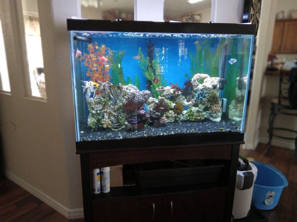 65 Gallon Aquarium