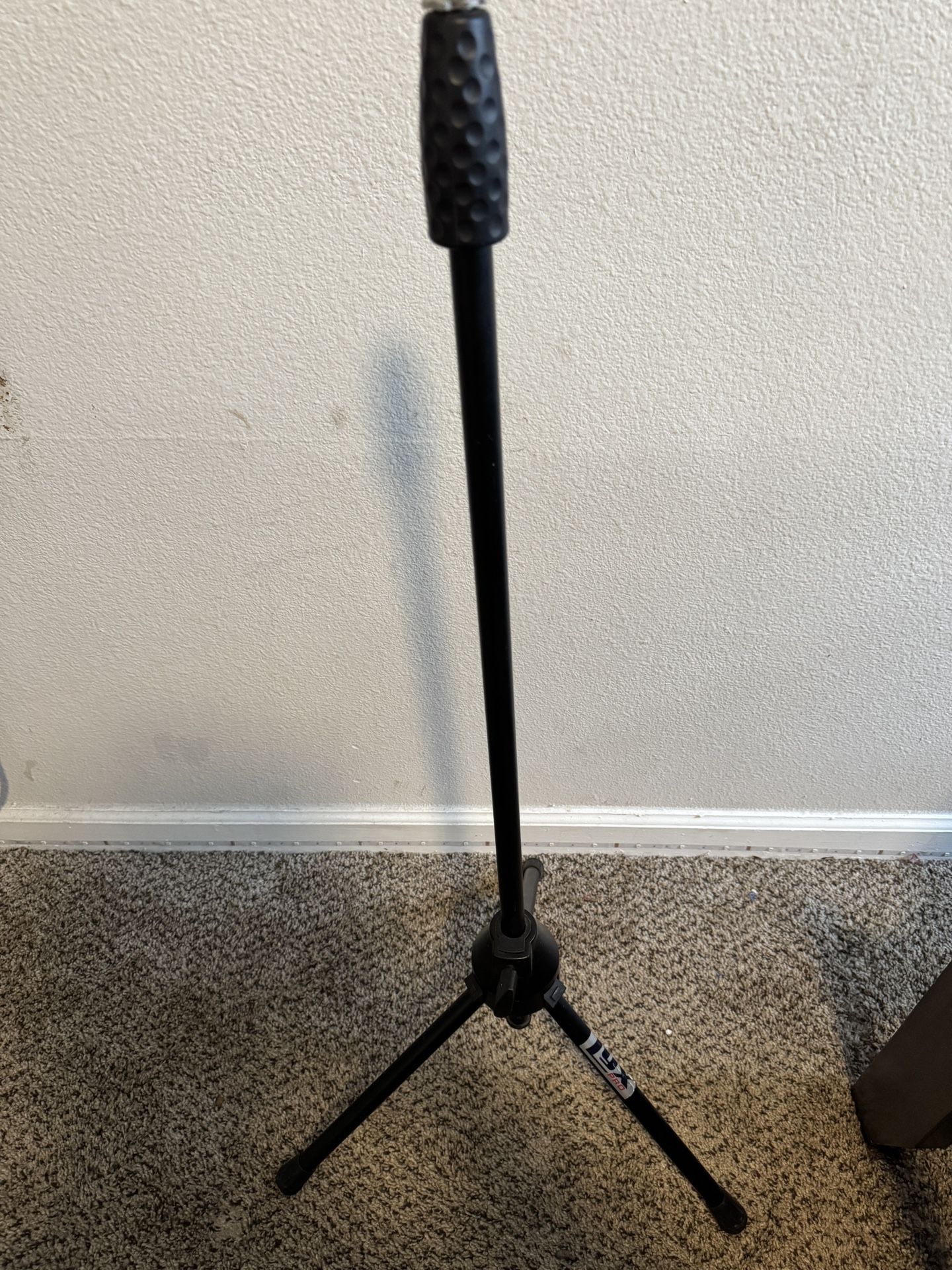 Microphone Stand And Mics