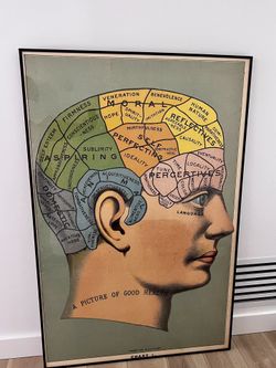 Huge Phrenology Framed Print 5’ 6” x 3’ 7” A Picture Of Good Health 