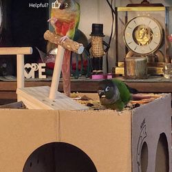 Bird Perch Rocking Toy, Natural Wood Parrot Tumbler Toy, Bird Perch Stand & Chewing Toys, Parakeet Paw Grinding Stick, Cage Accessories for Small Bird