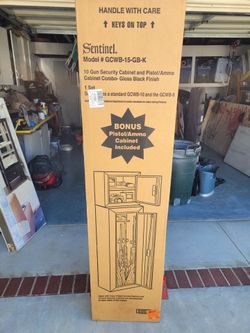 Sentinel 10 gun security cabinet and pistol/ammo
