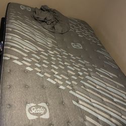 Sealy Queen Size Mattress And Box