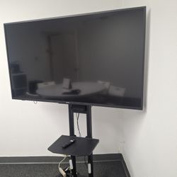55” Toshiba TV + Rolling Stand