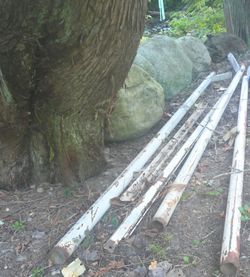 Iron poles, Angle iron, C chanel
