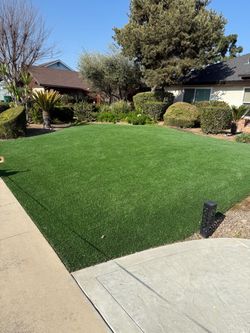 Liking  for some Synthetic grass