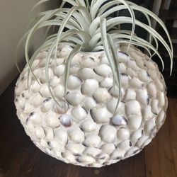 Large ceramic Vase pair
