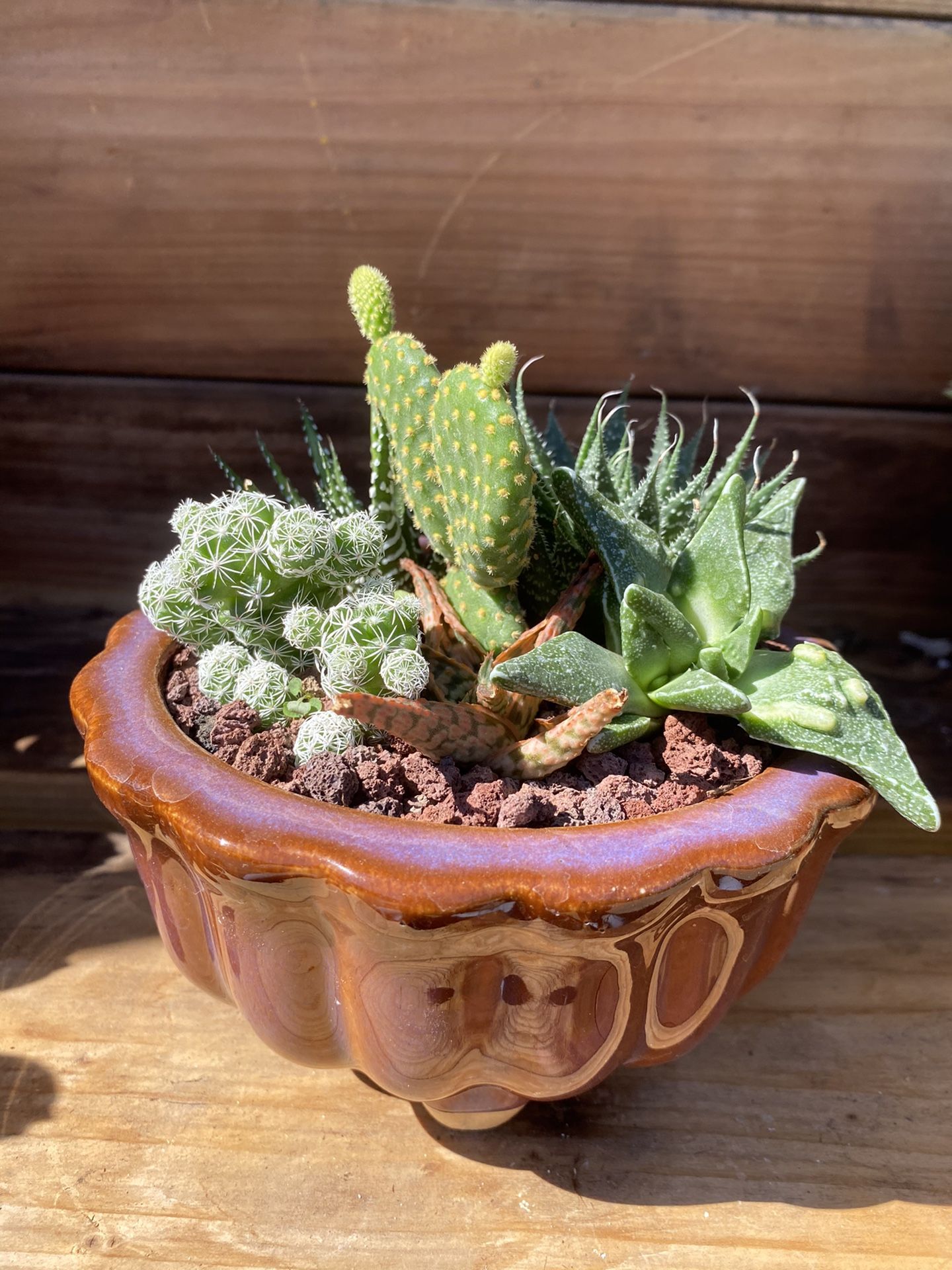 Decorative Succulent Arrangement