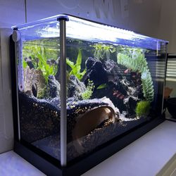 Fluval Fish Tank 