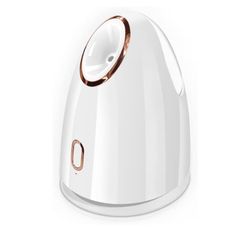 Face Steamer 