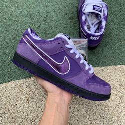 Concepts x Nike SB Dunk Low