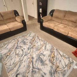 Two Sofa Set