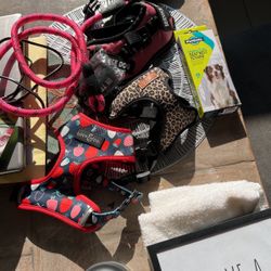 Dog Items