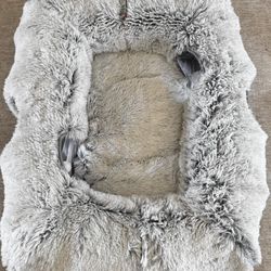 Cat Tunnel With Bed