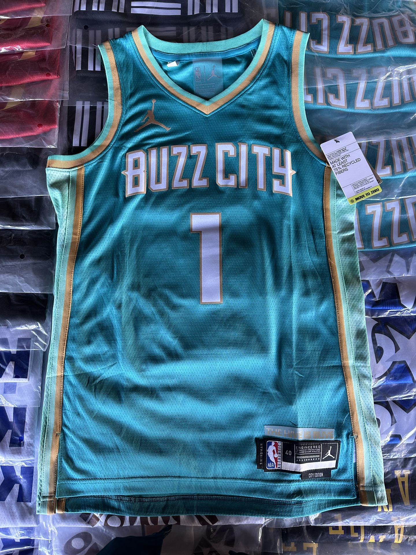 Charlotte Hornets Lamelo Ball