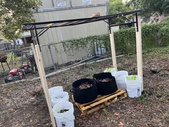 Grow Buckets Galore! - Pricing In Description