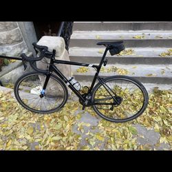 Cannondale CAAD 13  (56)