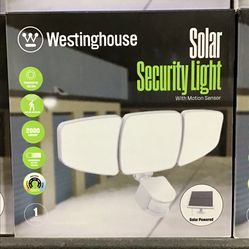 Solar Security Light 