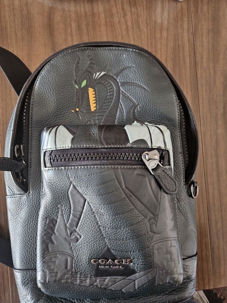 Disney Coach Bag