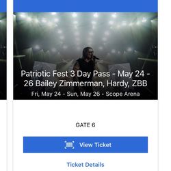 2 3 day pass tickets to the patriotic fest 