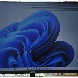 20" Monitor