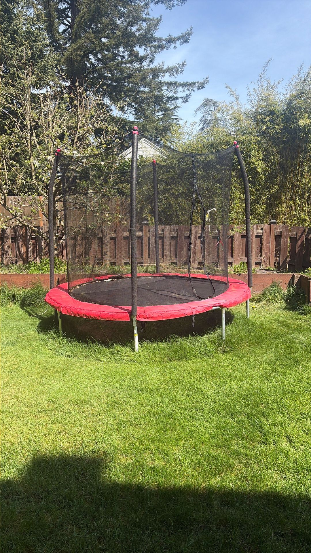 $50 - Medium Size Trampoline - Will Deliver To Areas Below