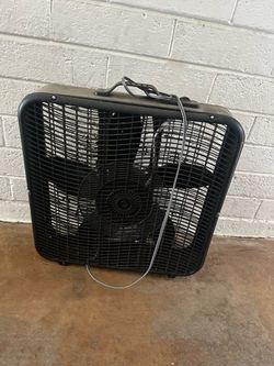 Black fan