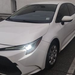 Toyota Corolla LE 2020