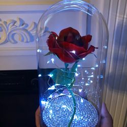 New Glass Dome Rose’s (different prices)
