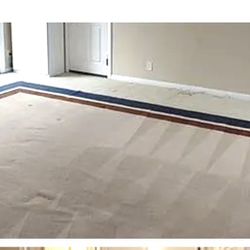 Large Area Rug
