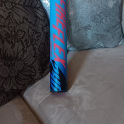 Softball Bat 