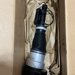 08 -13 Mercedes  S550 Front Strut 