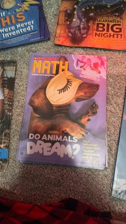 Magazine