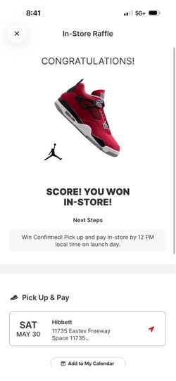 Jordan 4 toro bravo