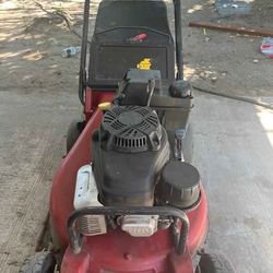 Máquina Corta Césped 