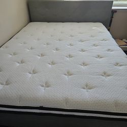 Like New - Zinus 12" Support Plus Spring Hybrid Queen Mattress Along With Bed Frame