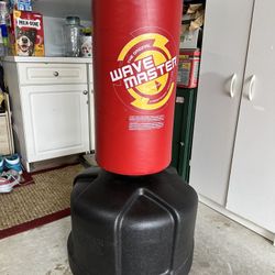 Punching/Kick Boxing Punching Bag