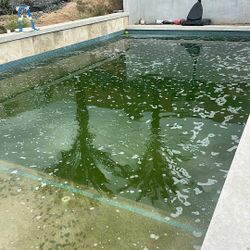 Green To clean (best price)