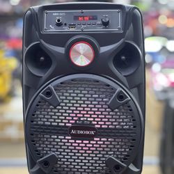 Rechargeable Bluetooth Party Speaker With Wired MIC