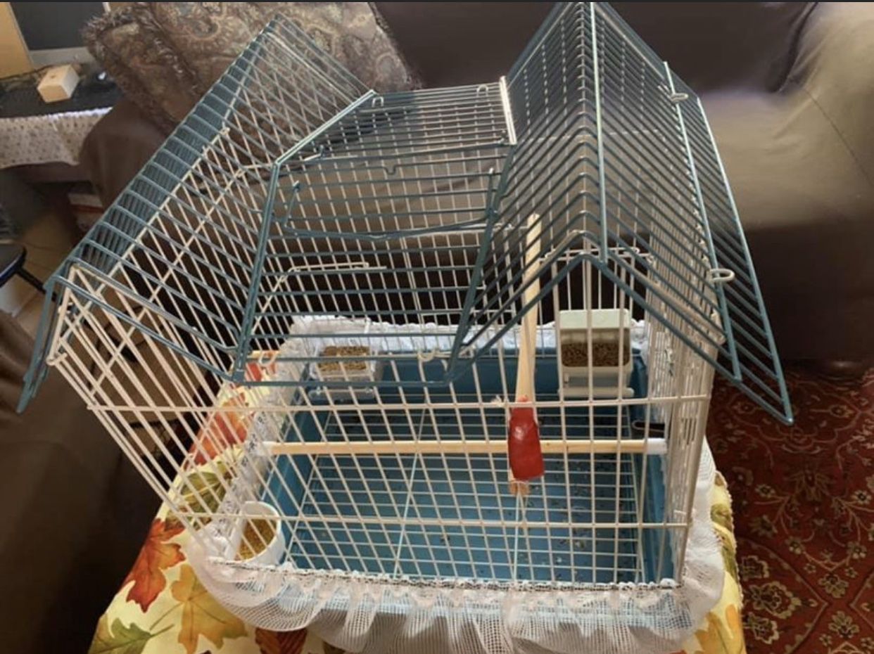 Bird cage only