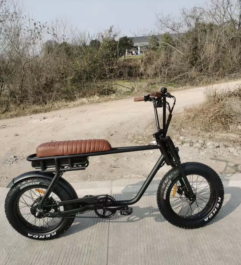 $100 For E-Bike