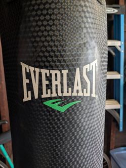 Everlast punching bag and stand