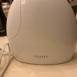 Facial Steamer 