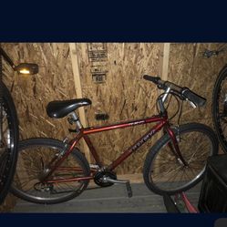 Trek Mountain bike