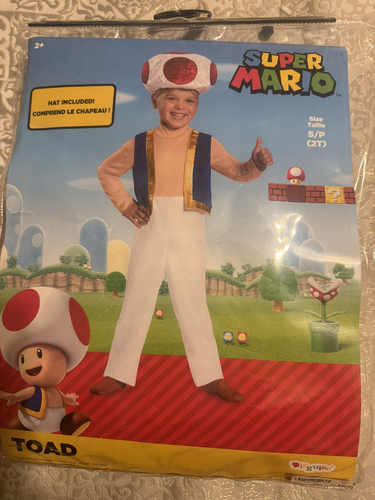 Halloween Family Costumes