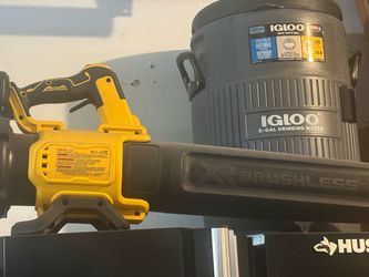 Dewalt blower
