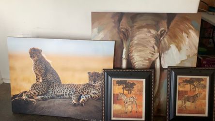 Animal Frames